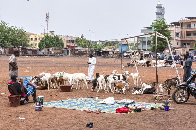 Mali Eid