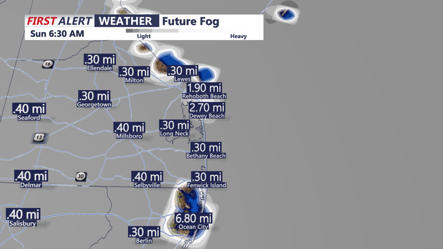 future fog
