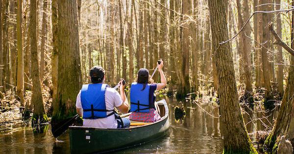 Sussex Tech students help Delaware State Parks plant 800 trees