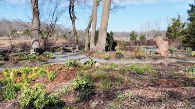 Delaware Botanic Gardens