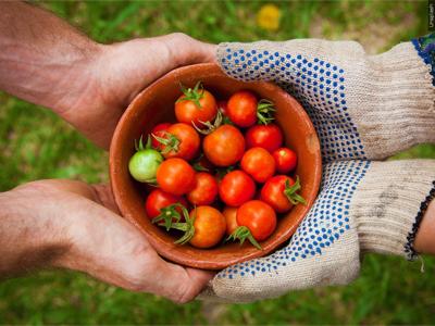 Delaware opens new grant round to expand access to healthy food