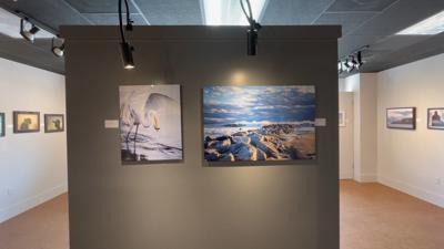 Dozens of Photographers Celebrate Local Beauty, in Latest Exhibit at Peninsula Gallery