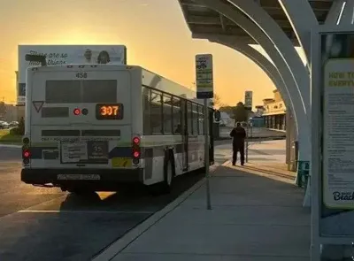 dart bus