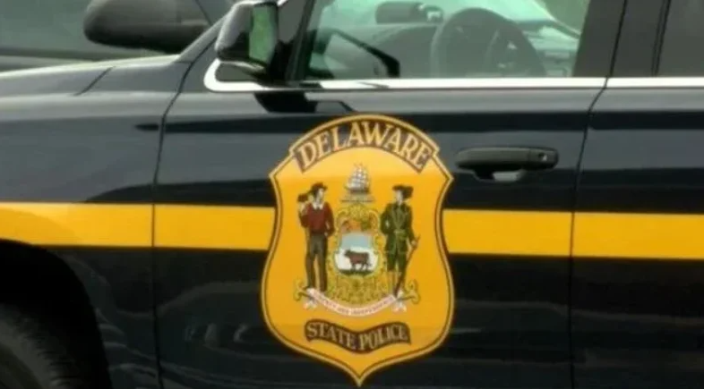 Delaware state police traffic stop