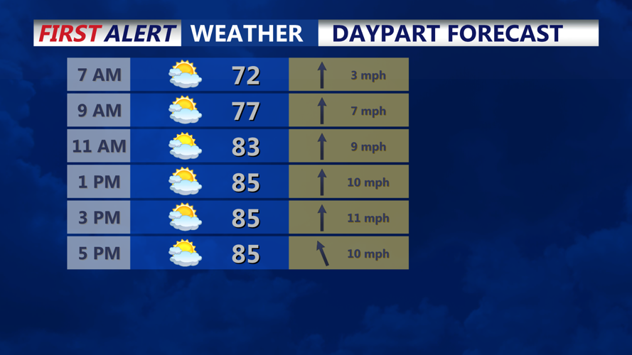 DAYPART FORECAST