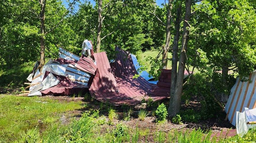 Roofing found in the woods