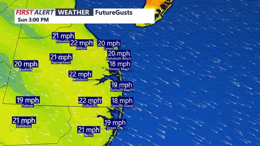future gusts
