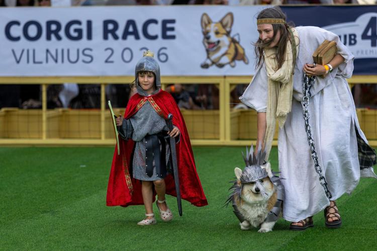 Lithuania Corgi Race