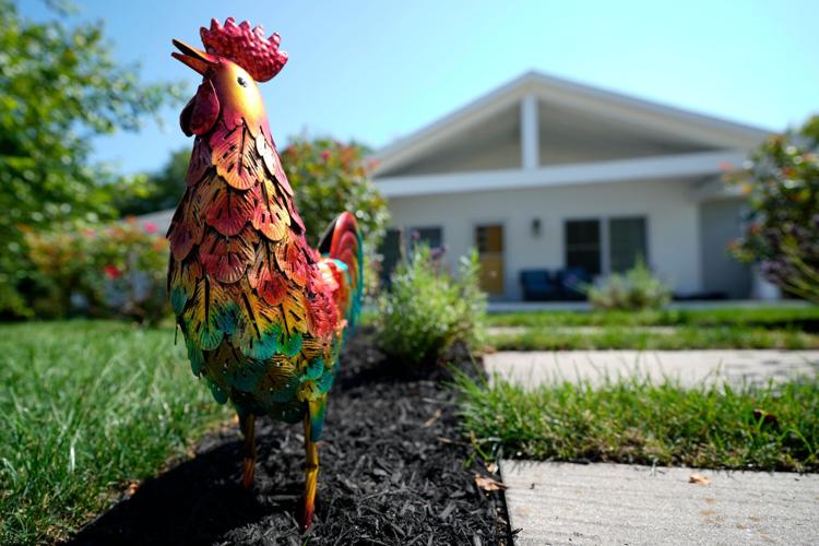 Maine Rooster Fight