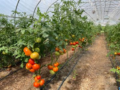 The Food Bank of Delaware is seeking fresh produce.
