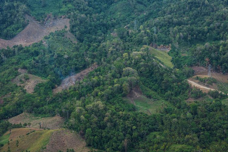 Indonesia Deforestation Biomass