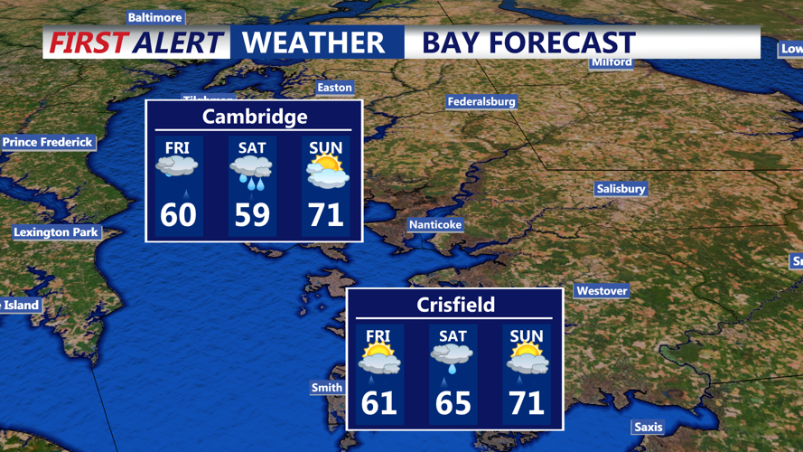 BAY FORECAST
