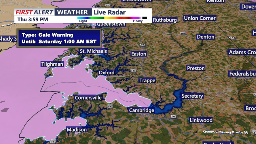 GALE WIND WARNING - CAMBRIDGE