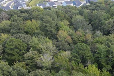 Open Space