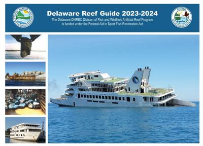 Delaware reef guide