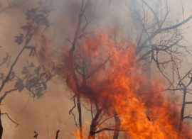 Wildfire smoke could impact Maryland air quality through Aug. 7