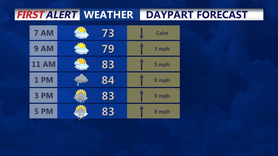 DAYPART FORECAST