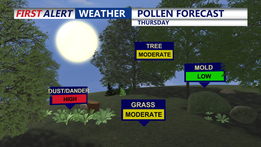 POLLEN FORECAST