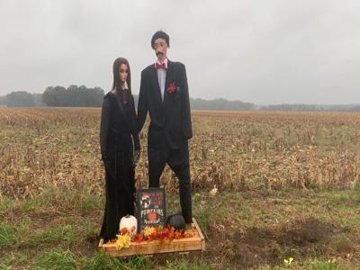 New Pole Family Installed on Route 9