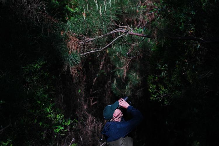 Climate Peatlands Restoration