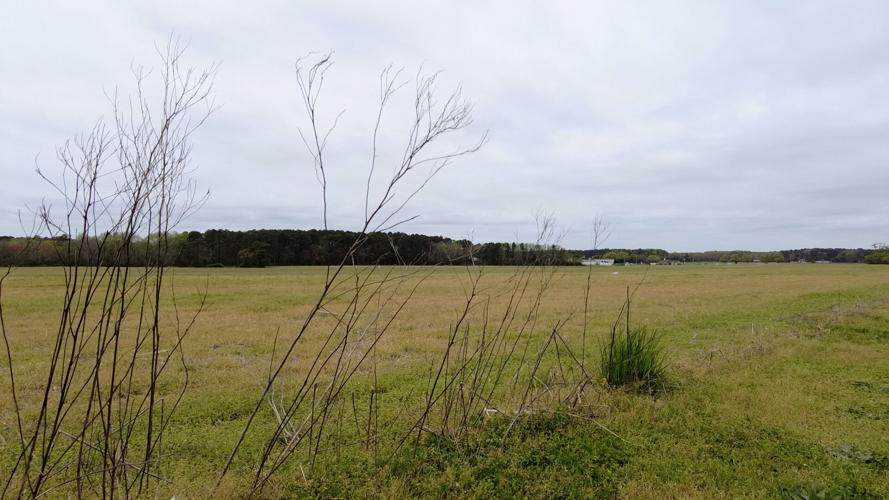 Proposed Sports Complex Land