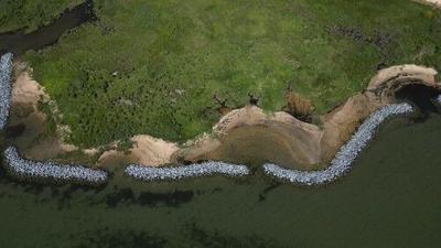 Tilghman Island