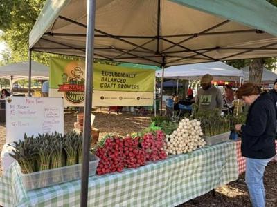 The Riverwalk Farmers market in Milford