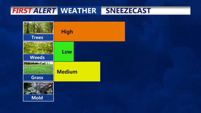 Sneezecast