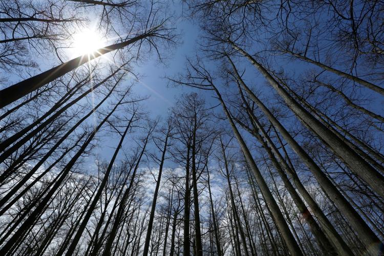 US-Forest Service Relocating