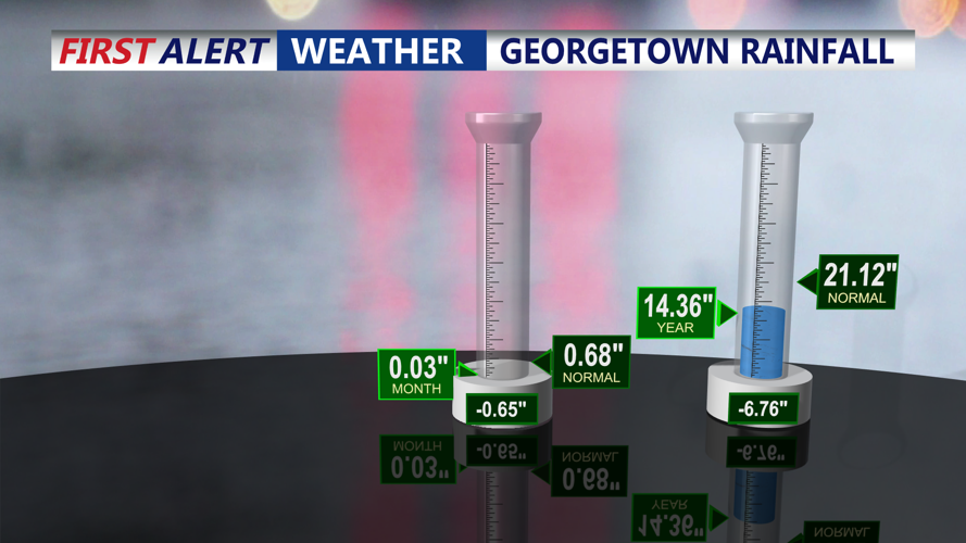 GEORGETOWN RAINFALL