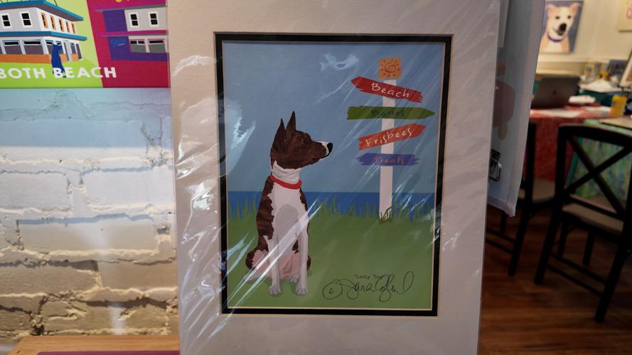 Picture at The Ruff Life in Rehoboth Beach