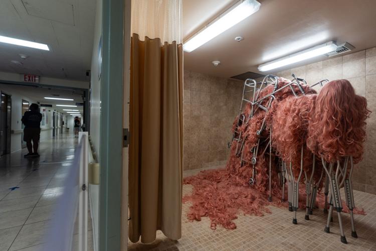 California Hospital of Emotions