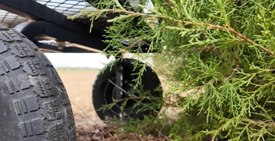 Nearly a year later, Delaware ends drought watch