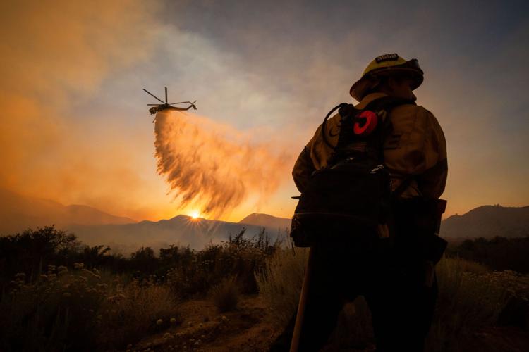 Climate Wildfires Global