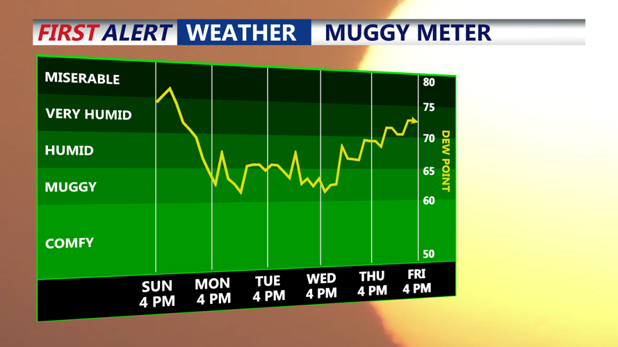 Muggy Meter