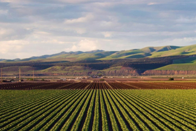 Delaware Agriculture Week to highlight education, industry updates in Harrington