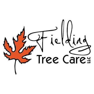 Fielding Tree Care Delivers Professional Tree Service Denver Throughout South Denver Since 2005