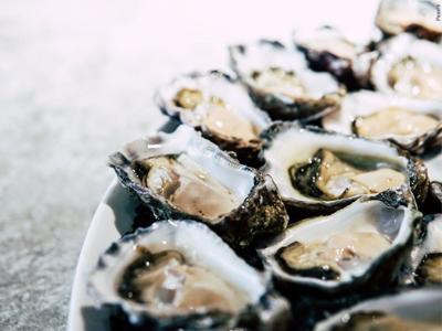 Oyster restoration