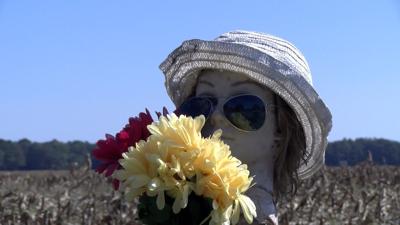 Locals Set up Memorial For "Pole Family" after Accident Destroys Landmark