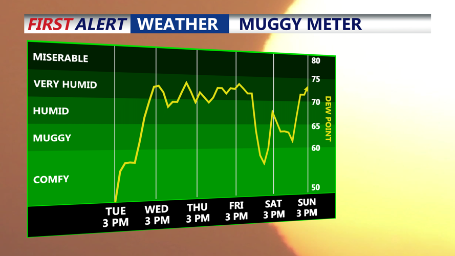 Muggy Meter