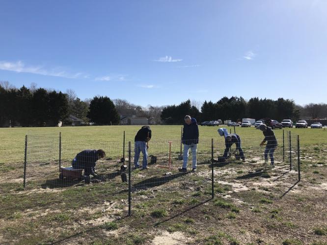 Chapel Green Residents working on the mini forest