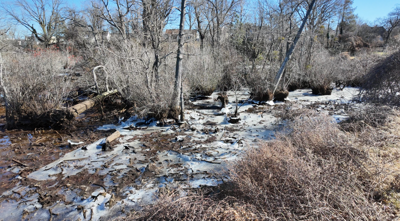 The prolonged cold has led some people to limit time outdoors.
