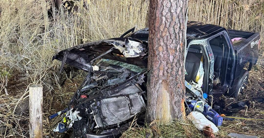 Driver rescued from entrapment after crashing into tree on Long Neck ...