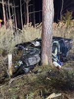 Driver rescued from entrapment after crashing into tree on Long Neck Road