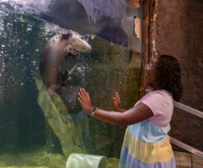 Delmarva Discovery Museum