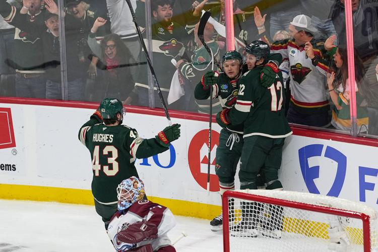 Avalanche Wild Hockey