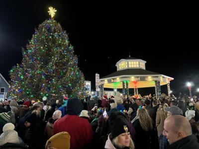 2024 Reho tree