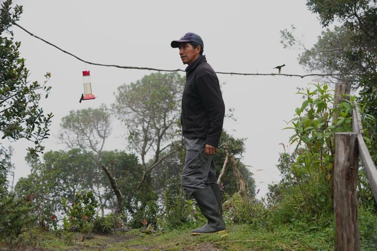 Ecuador Hummingbirds Refuge