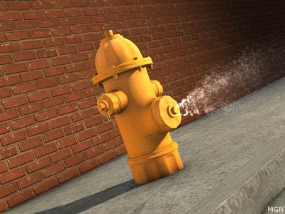 Hydrant flushing