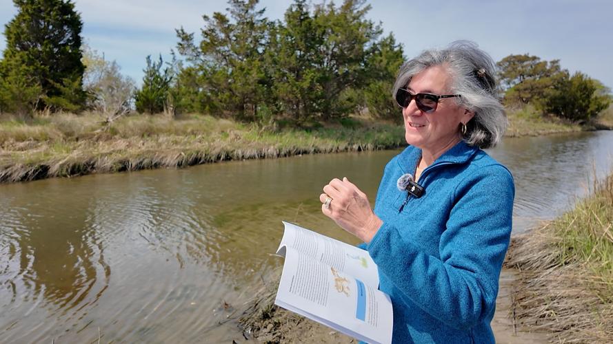 Mary Barneby with her book Exploring Wetlands while standing in a wetland
